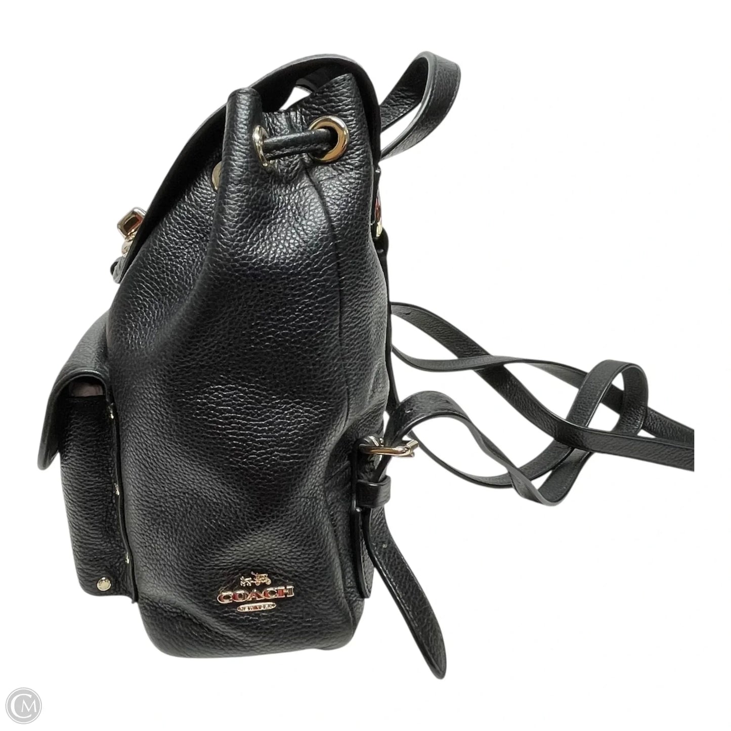 Backpack Designer By Coach, Size: Small