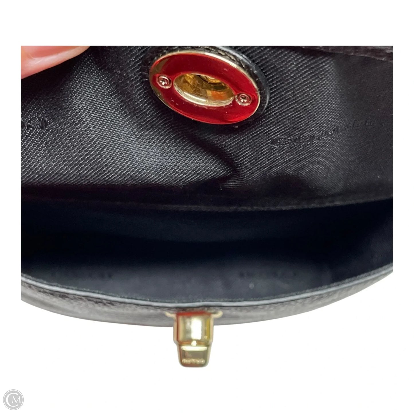 Backpack Designer By Coach, Size: Small