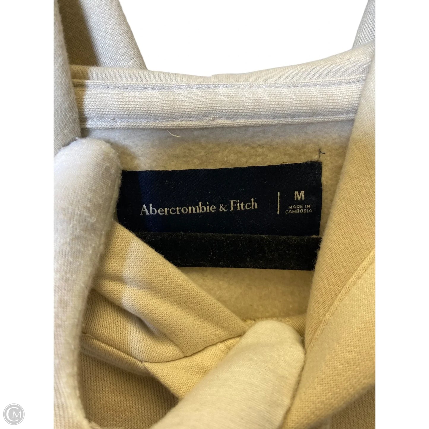 Athletic Sweatshirt Hoodie By Abercrombie And Fitch In Tan, Size: M