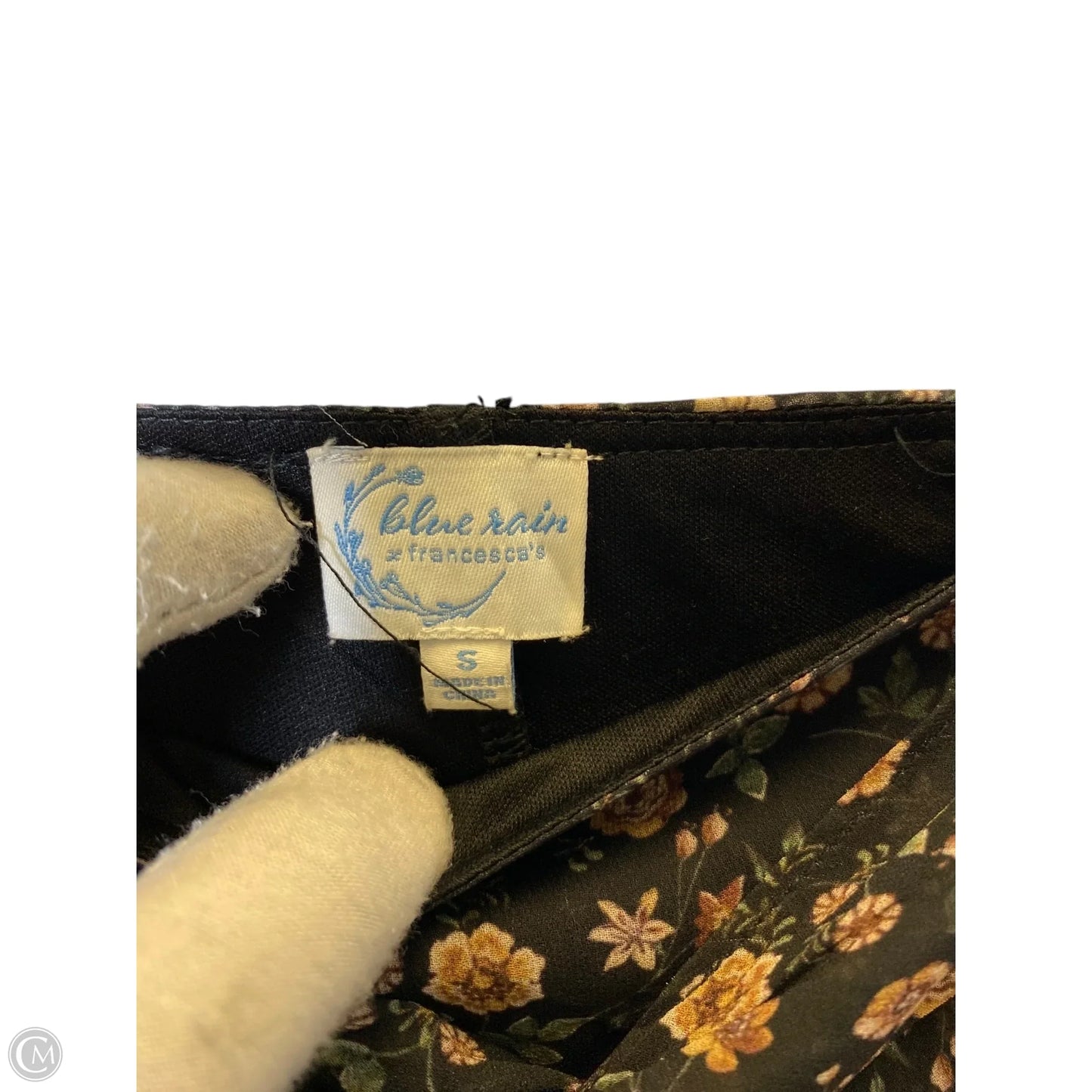 Skirt Maxi By Blue Rain In Floral Print, Size: S
