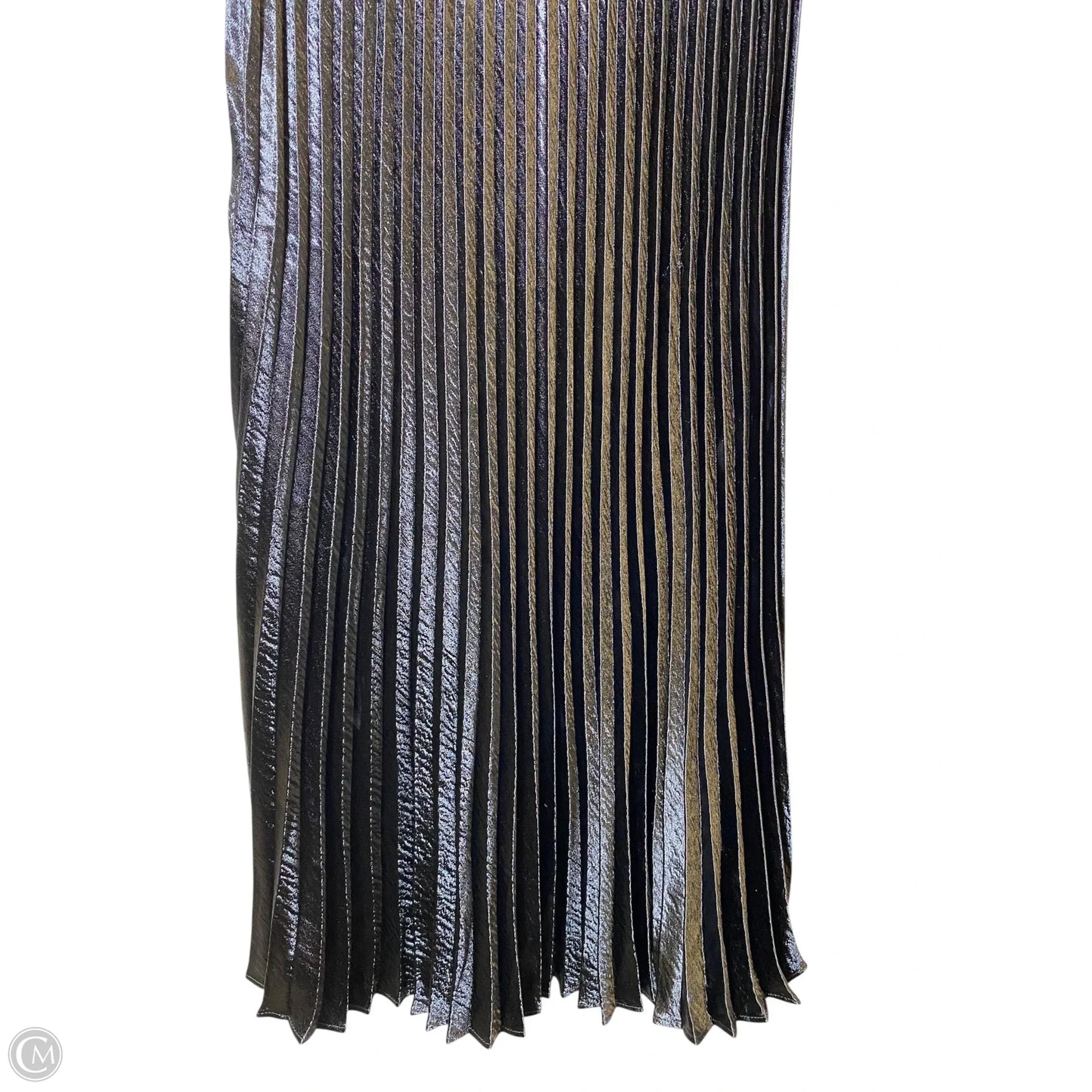 Skirt Maxi By Express In Black, Size: Xs