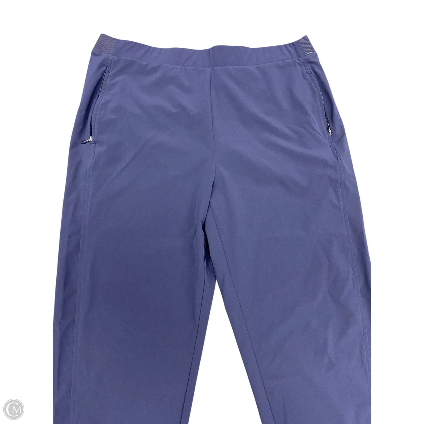 Athletic Pants By Chicos In Navy, Size: 14