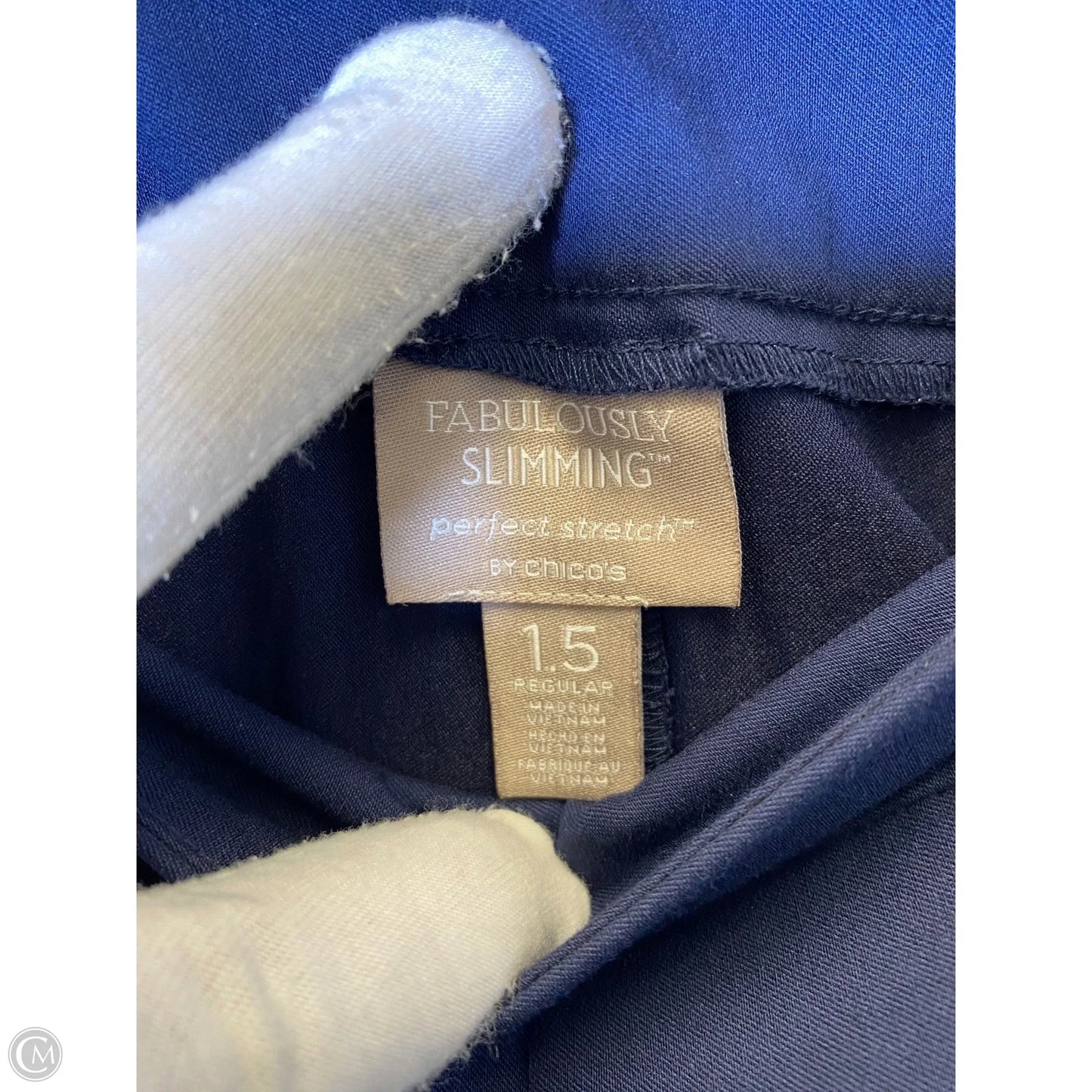 Pants Other By Chicos In Navy, Size: 8