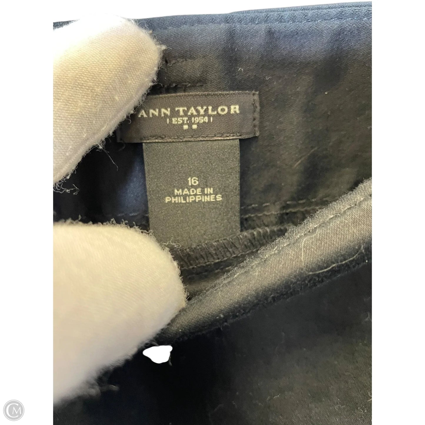 Skirt Mini & Short By Ann Taylor In Black, Size: 16