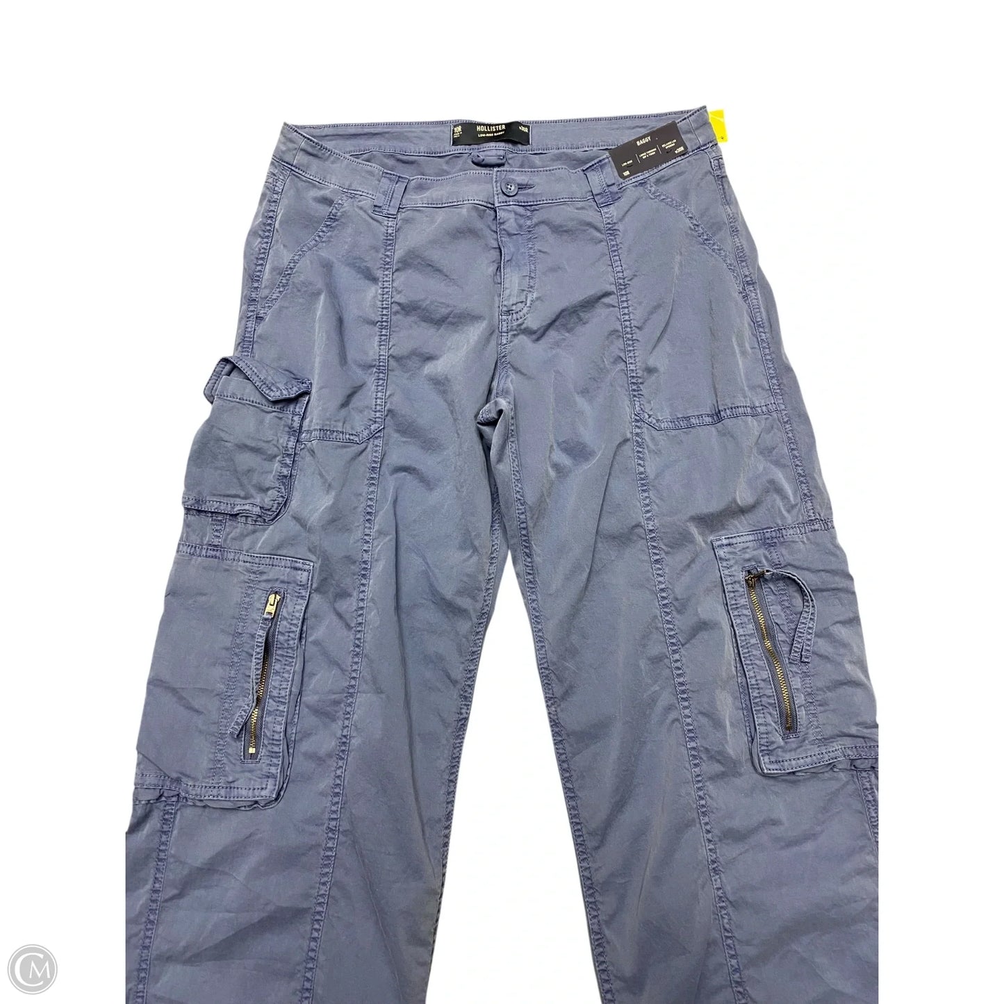Pants Cargo & Utility By Hollister In Blue, Size: 10