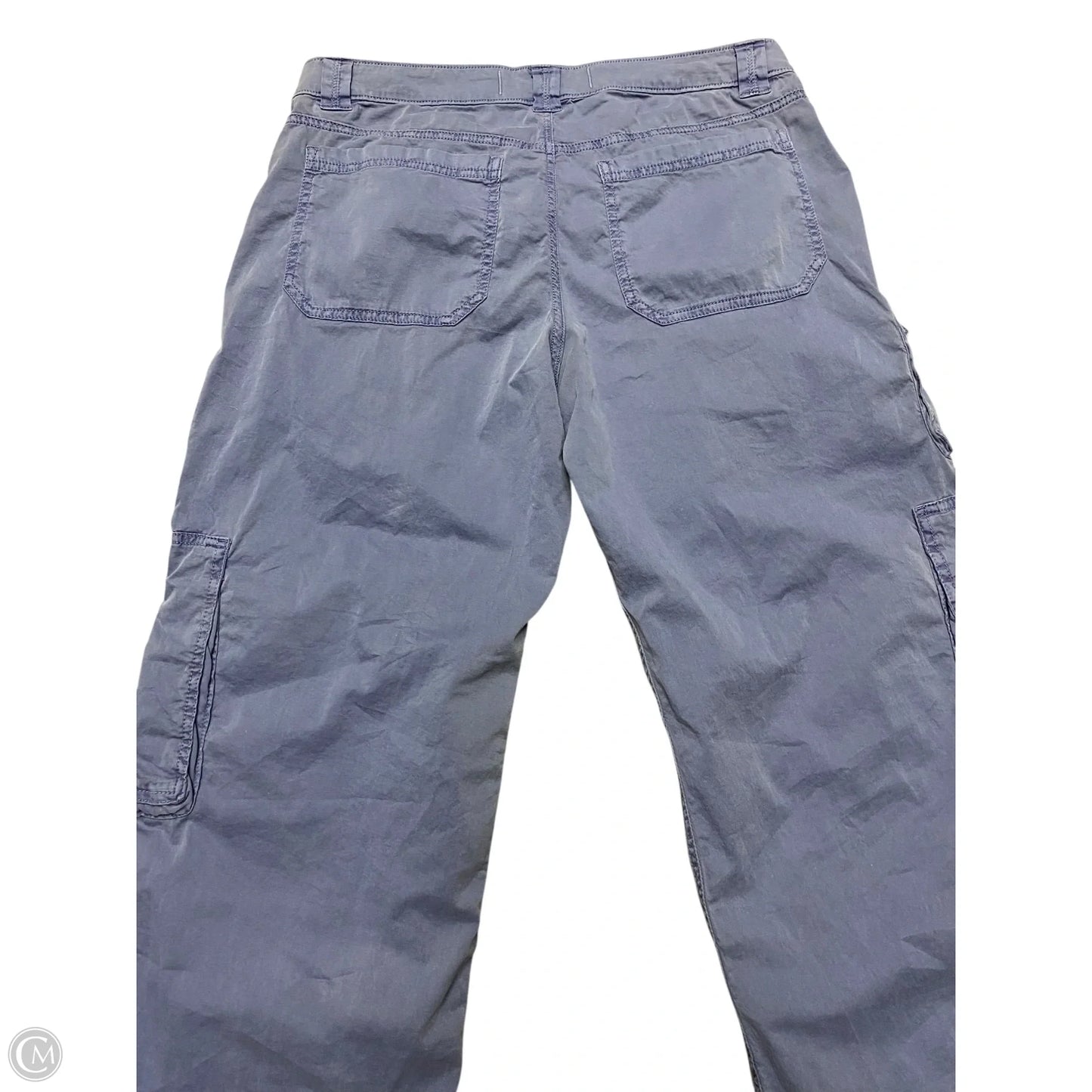 Pants Cargo & Utility By Hollister In Blue, Size: 10