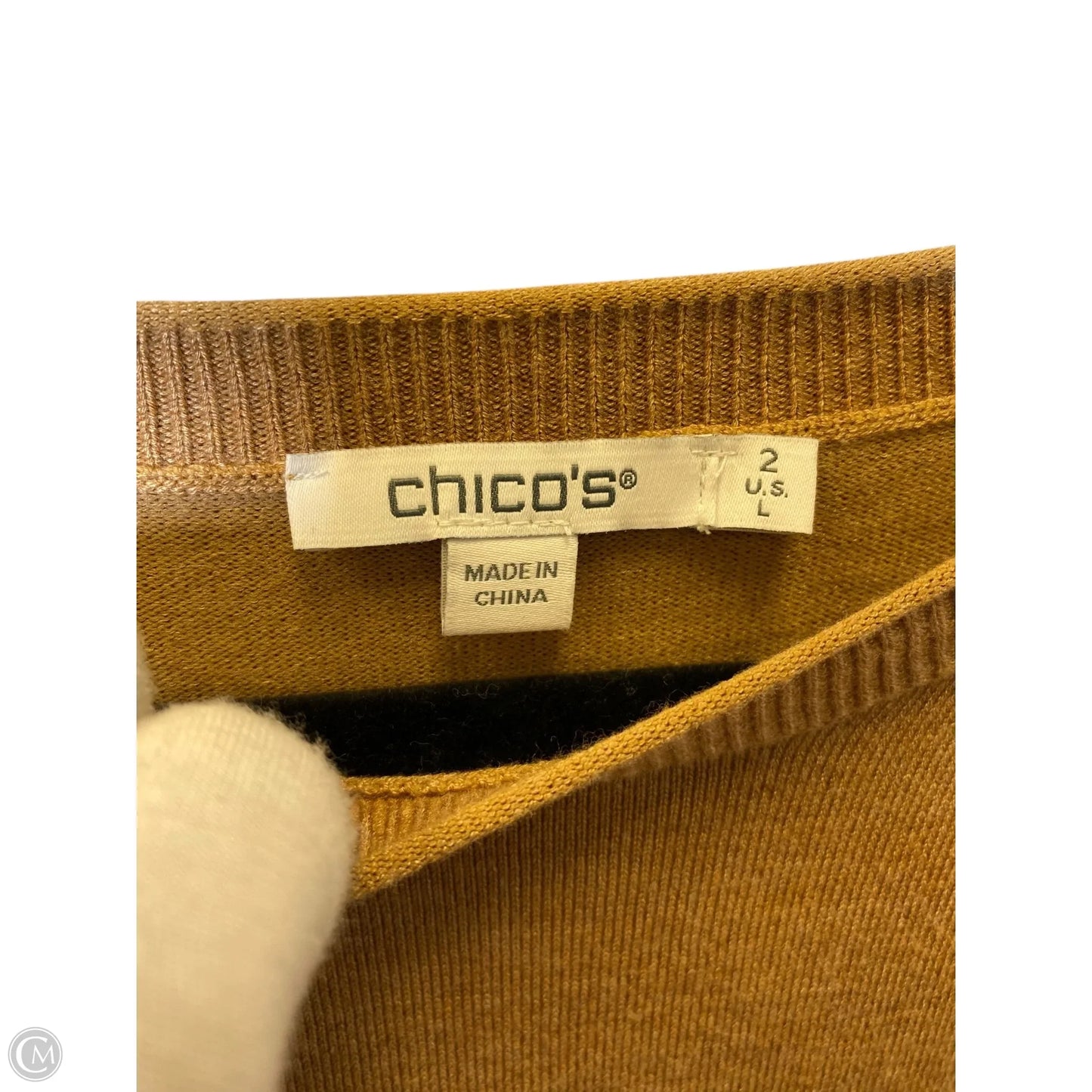Top Long Sleeve By Chicos In Brown & White, Size: L