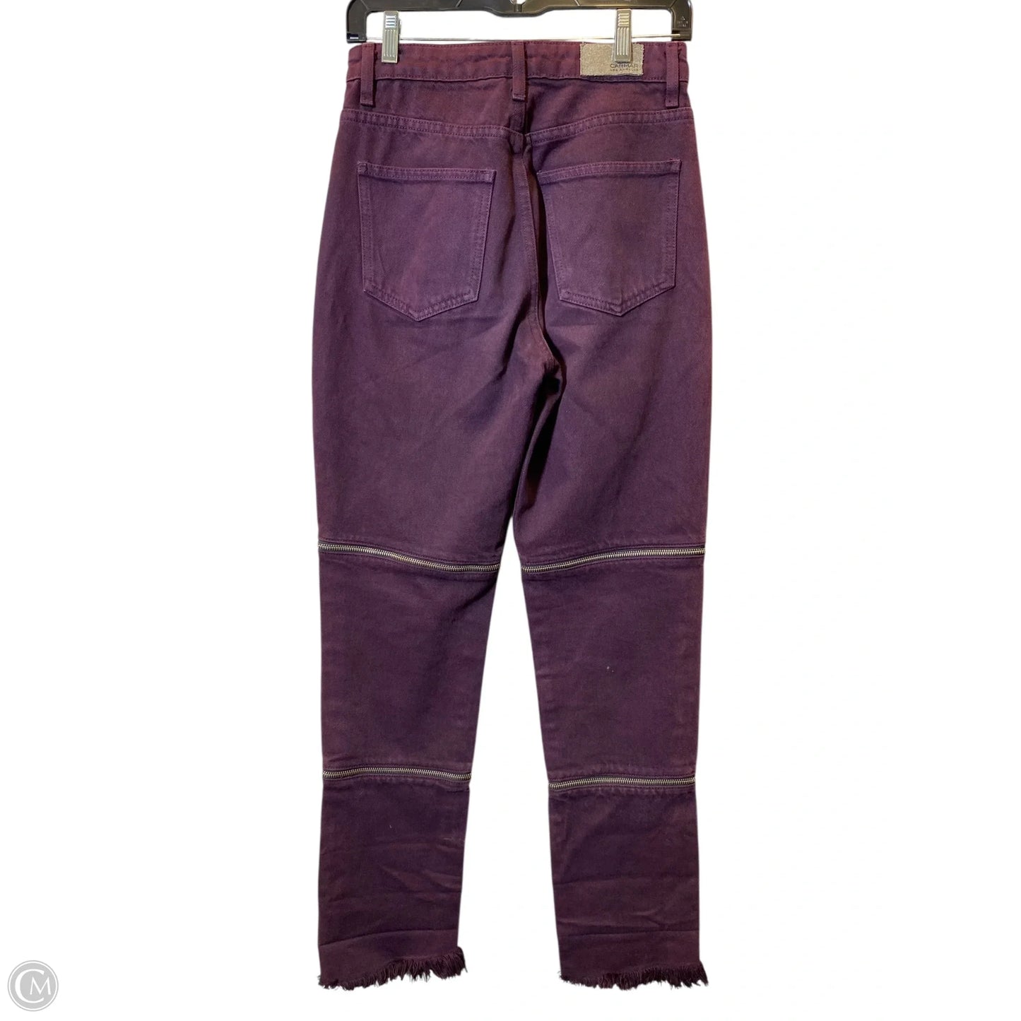 Pants Cargo & Utility By Clothes Mentor In Purple, Size: 2
