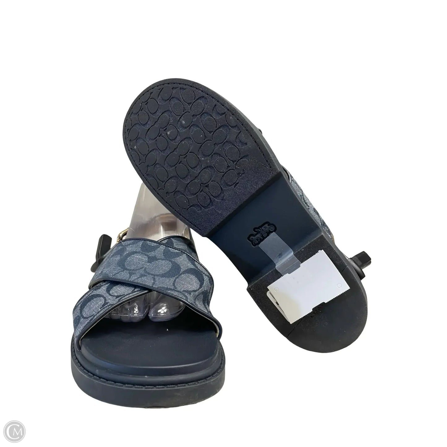Sandals Designer By Coach In Blue, Size: 10