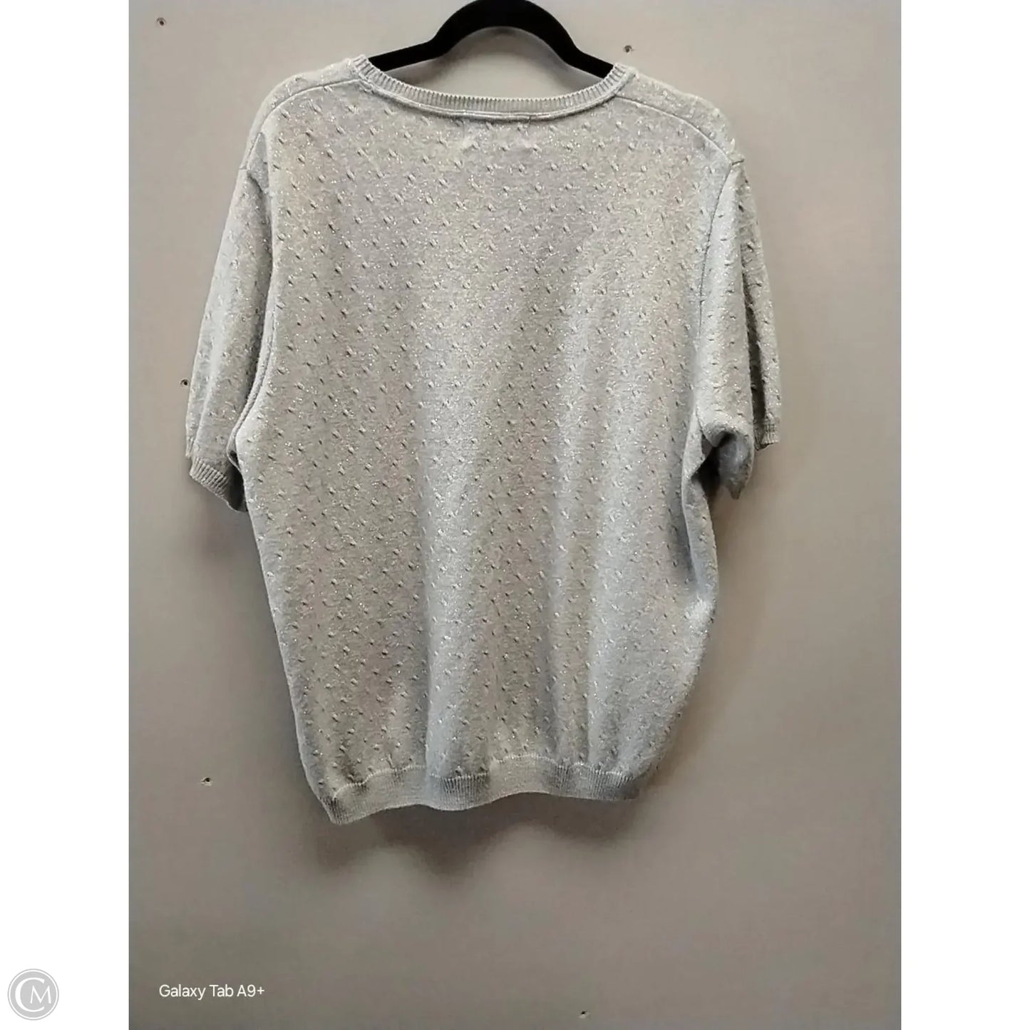 Sweater Short Sleeve By Alfred Dunner In Silver, Size: 2x