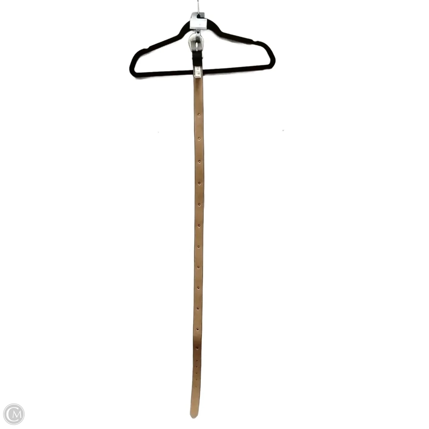 Belt By Universal Thread