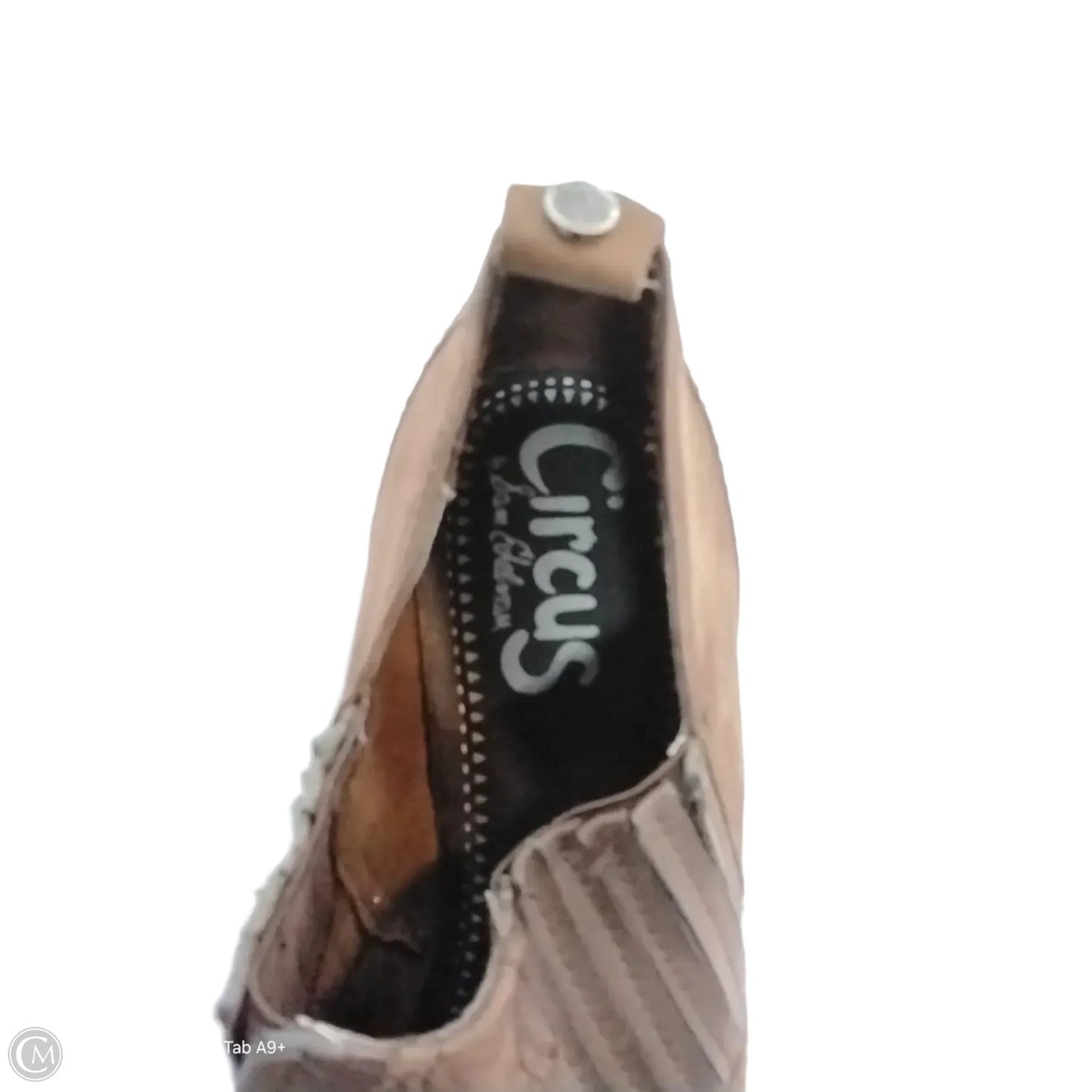 Boots Ankle Heels By Circus By Sam Edelman In Brown, Size: 10