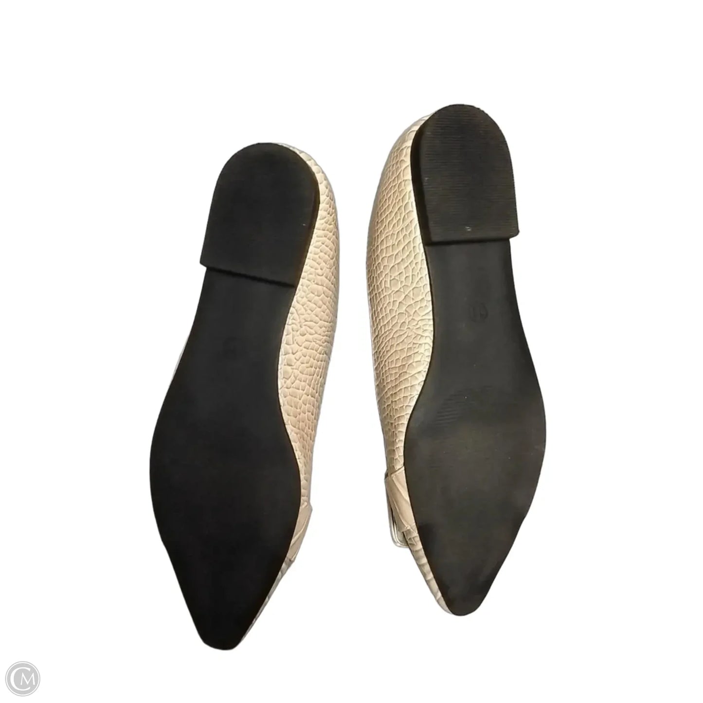 Shoes Flats By Cato In Snakeskin Print, Size: 11