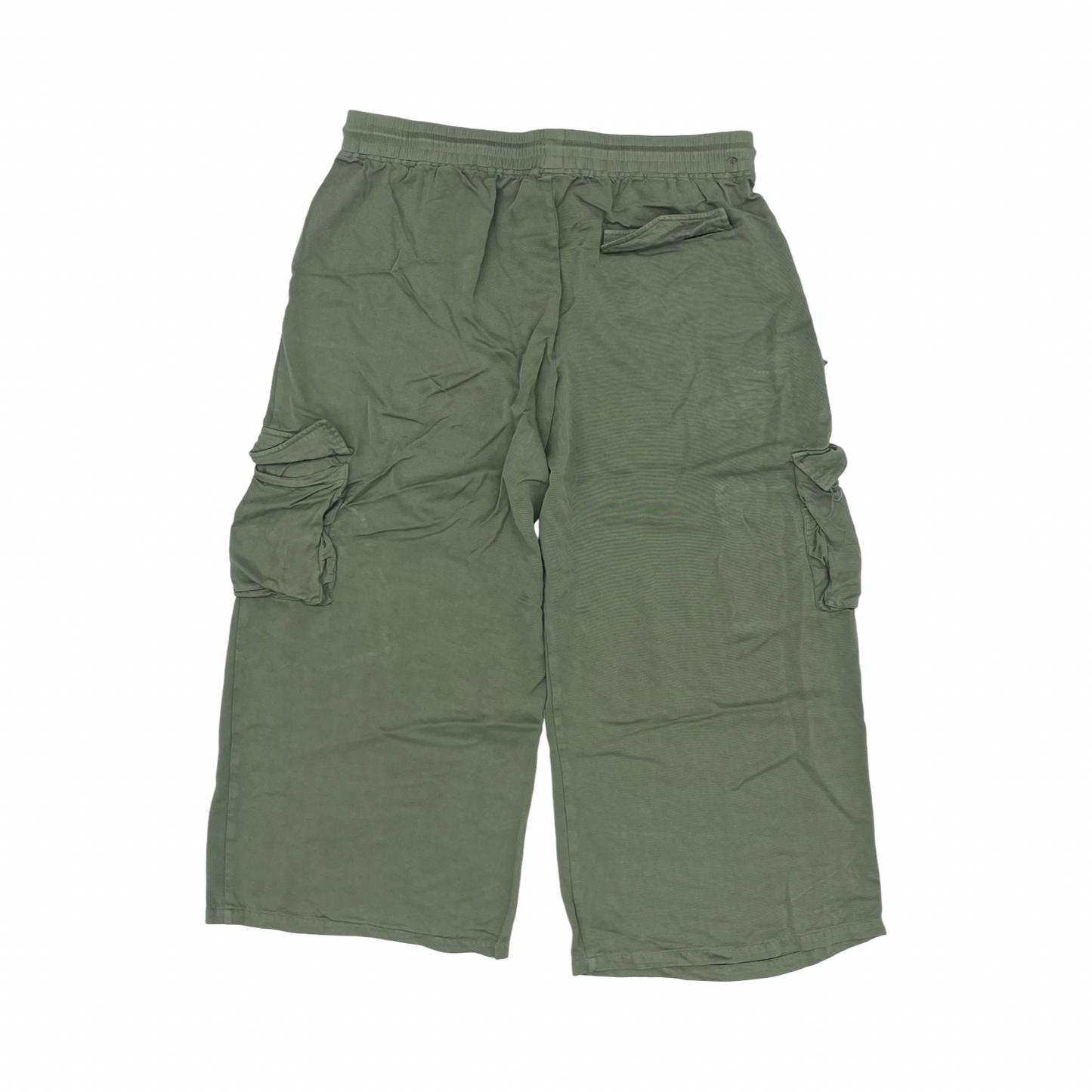 Pants Cargo & Utility By White Birch In Green, Size:1X