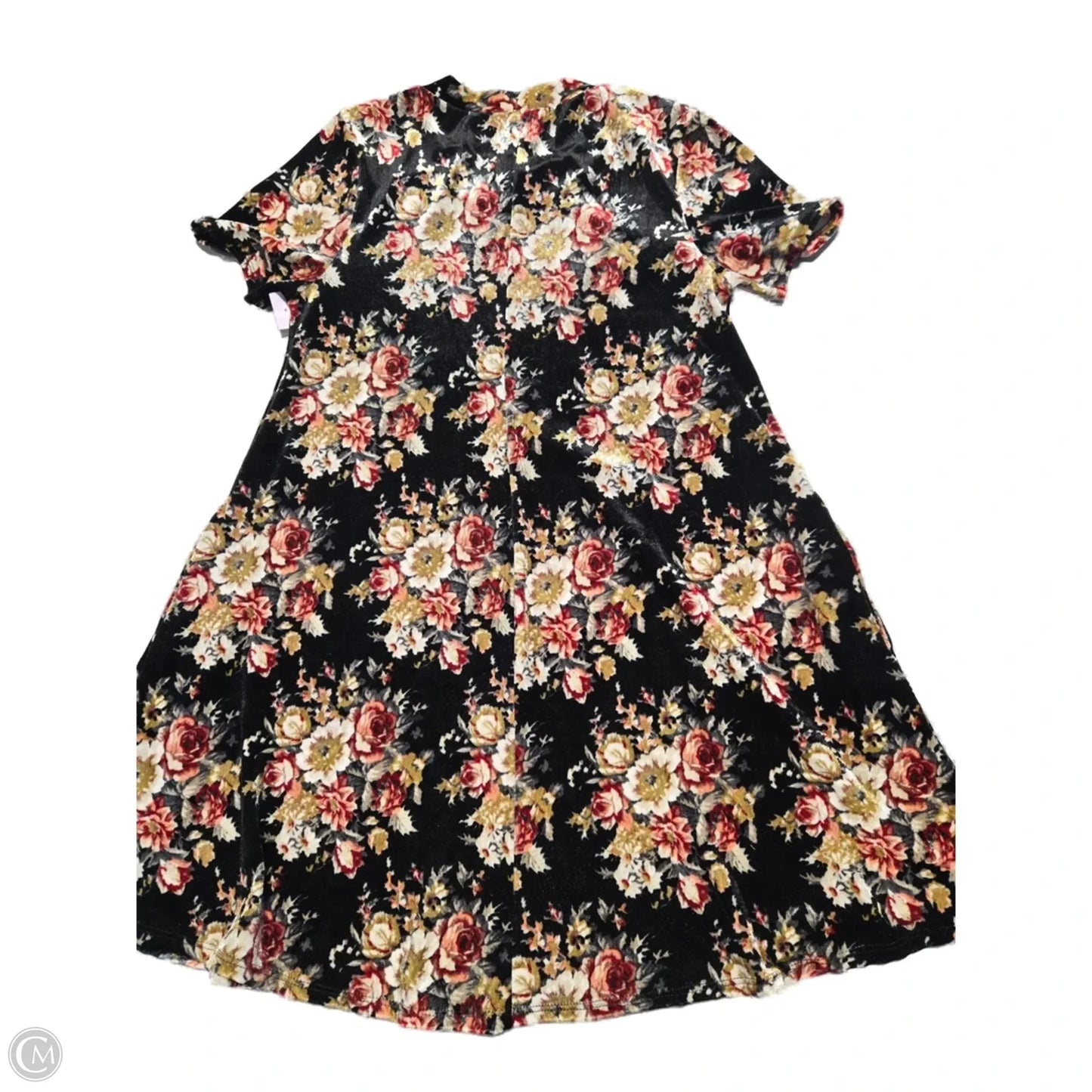 Dress Casual Short By Cotton Bleu In Floral Print, Size: S