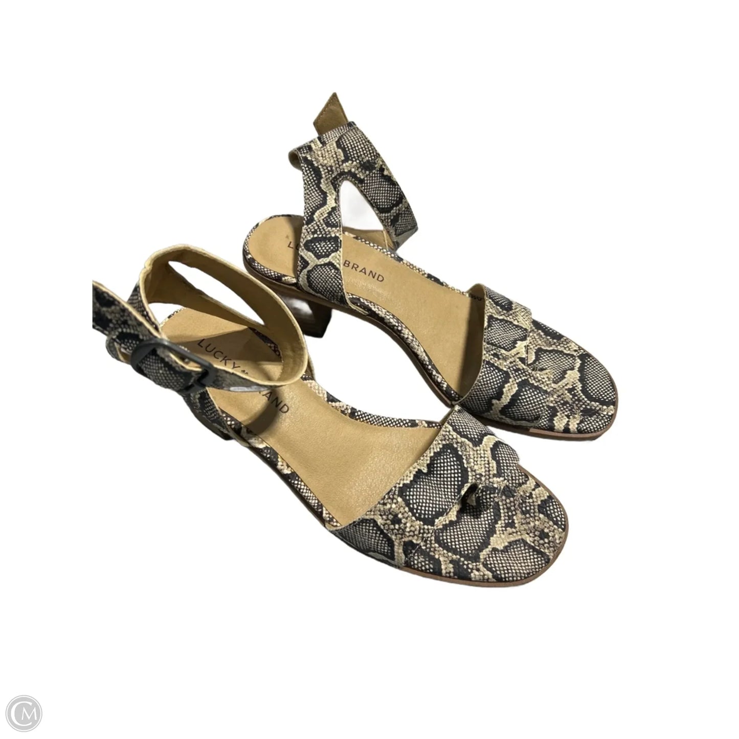 Shoes Heels Block By Lucky Brand In Snakeskin Print, Size: 8.5