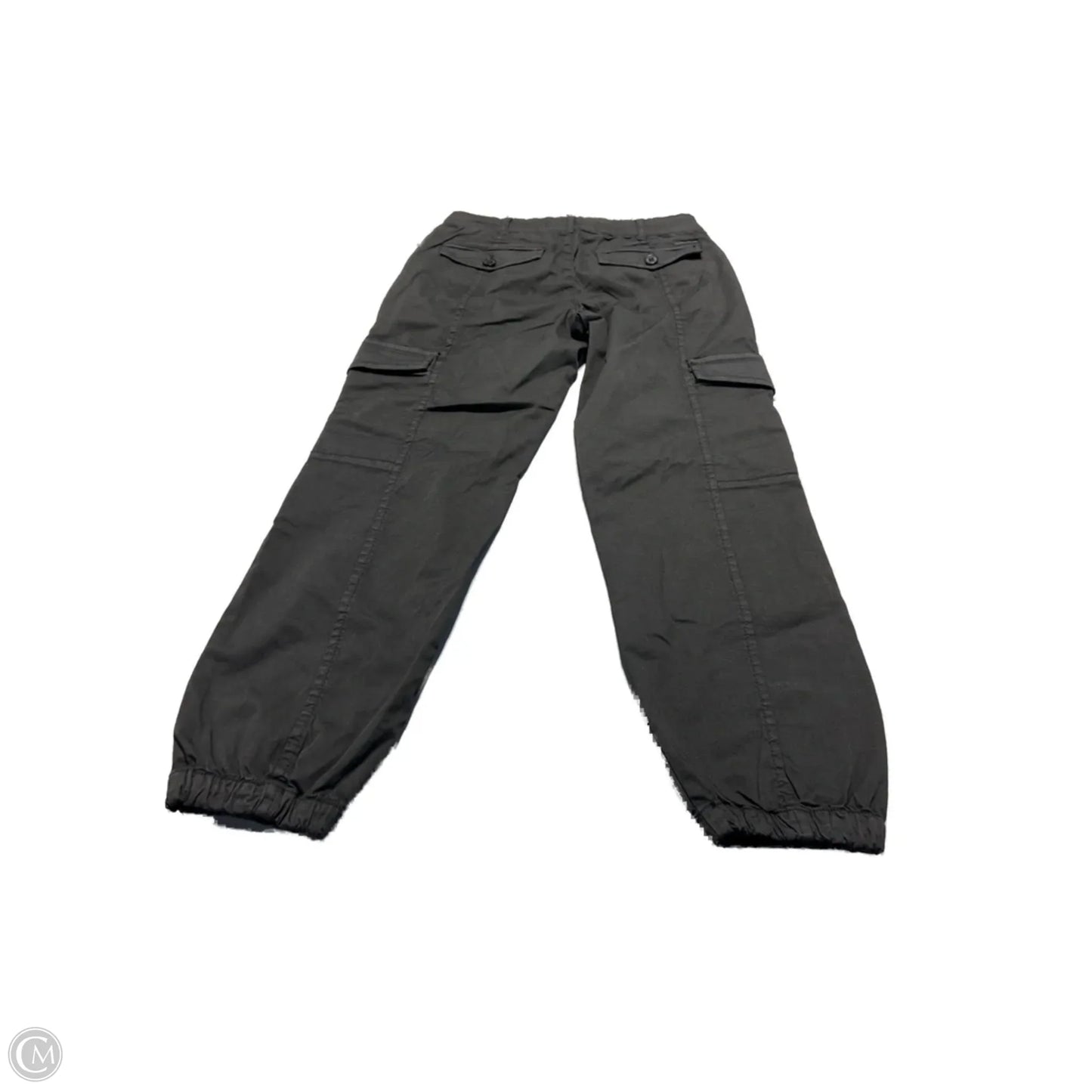 Pants Cargo & Utility By Sanctuary In Grey, Size: 2