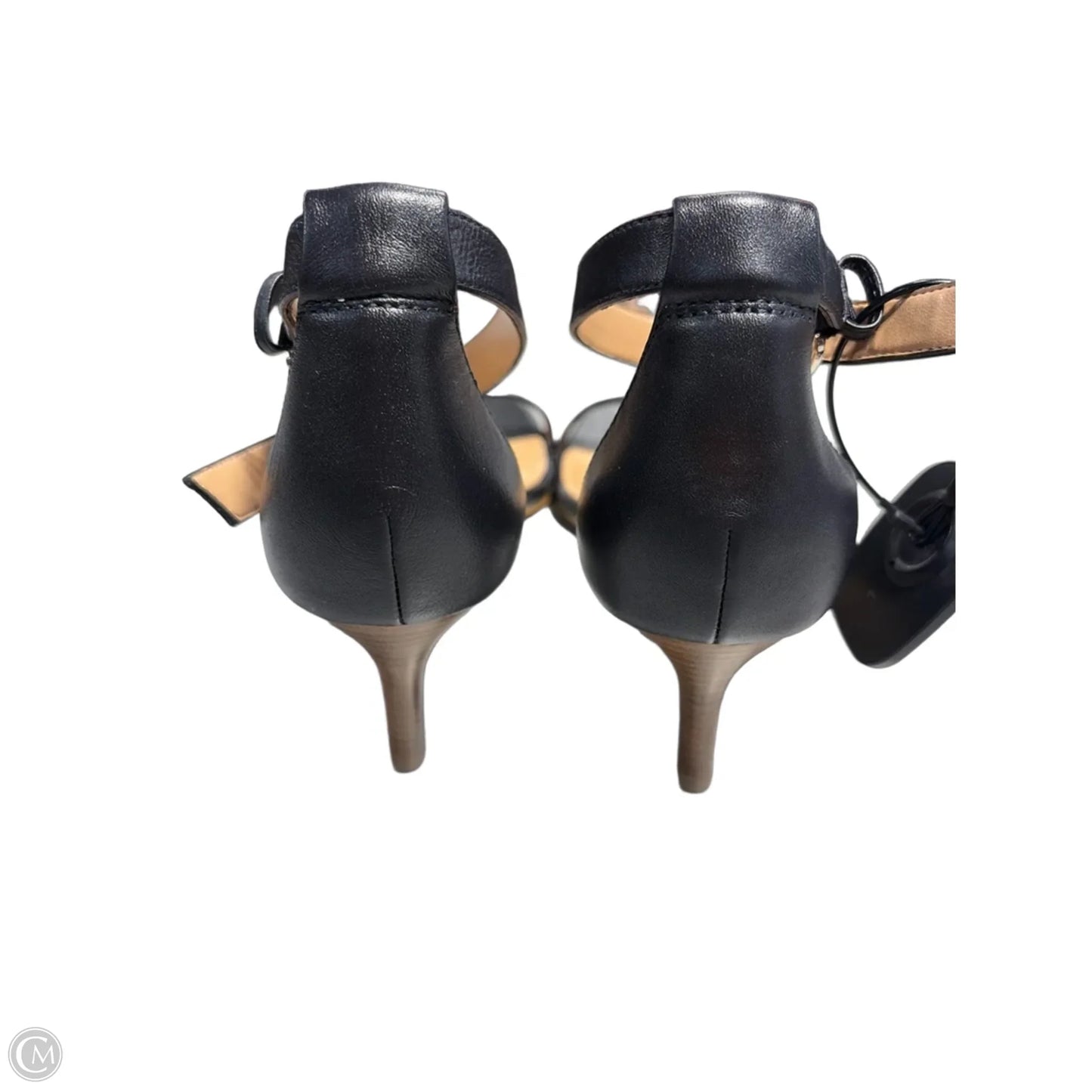 Shoes Heels Kitten By Talbots In Black, Size: 7