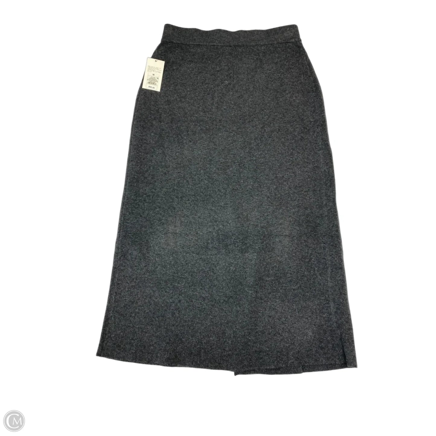 Skirt Maxi By A New Day In Grey, Size: 10