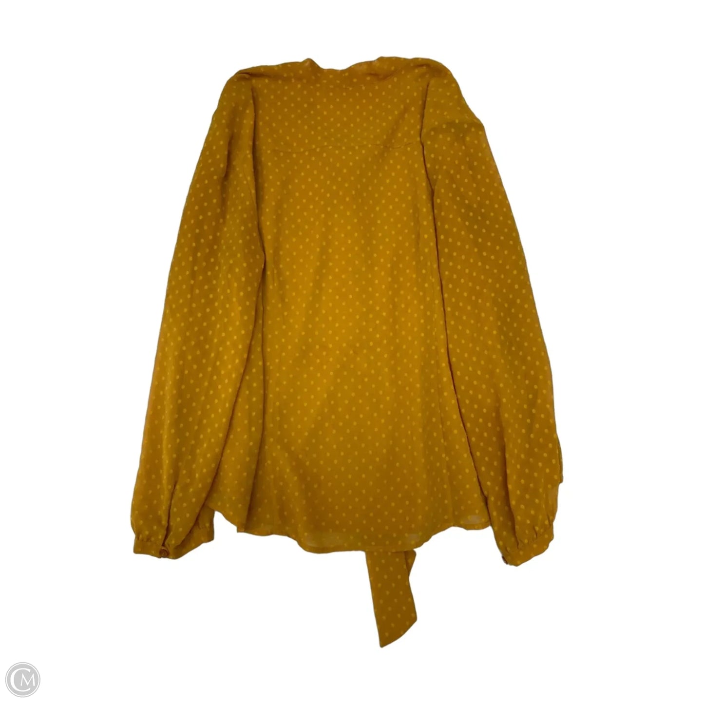 Top Long Sleeve By Chicos In Yellow, Size: Xl