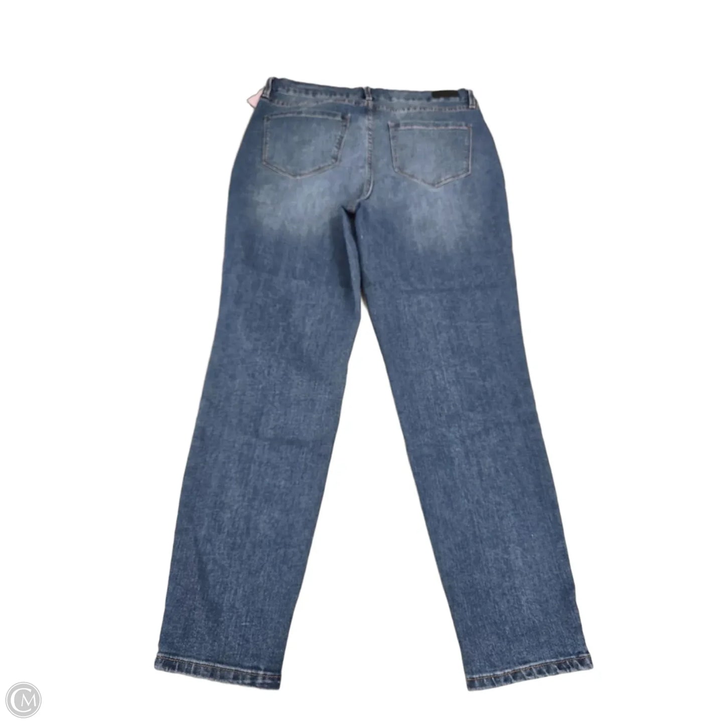 Jeans Skinny By Nicole By Nicole Miller In Blue Denim, Size: 14