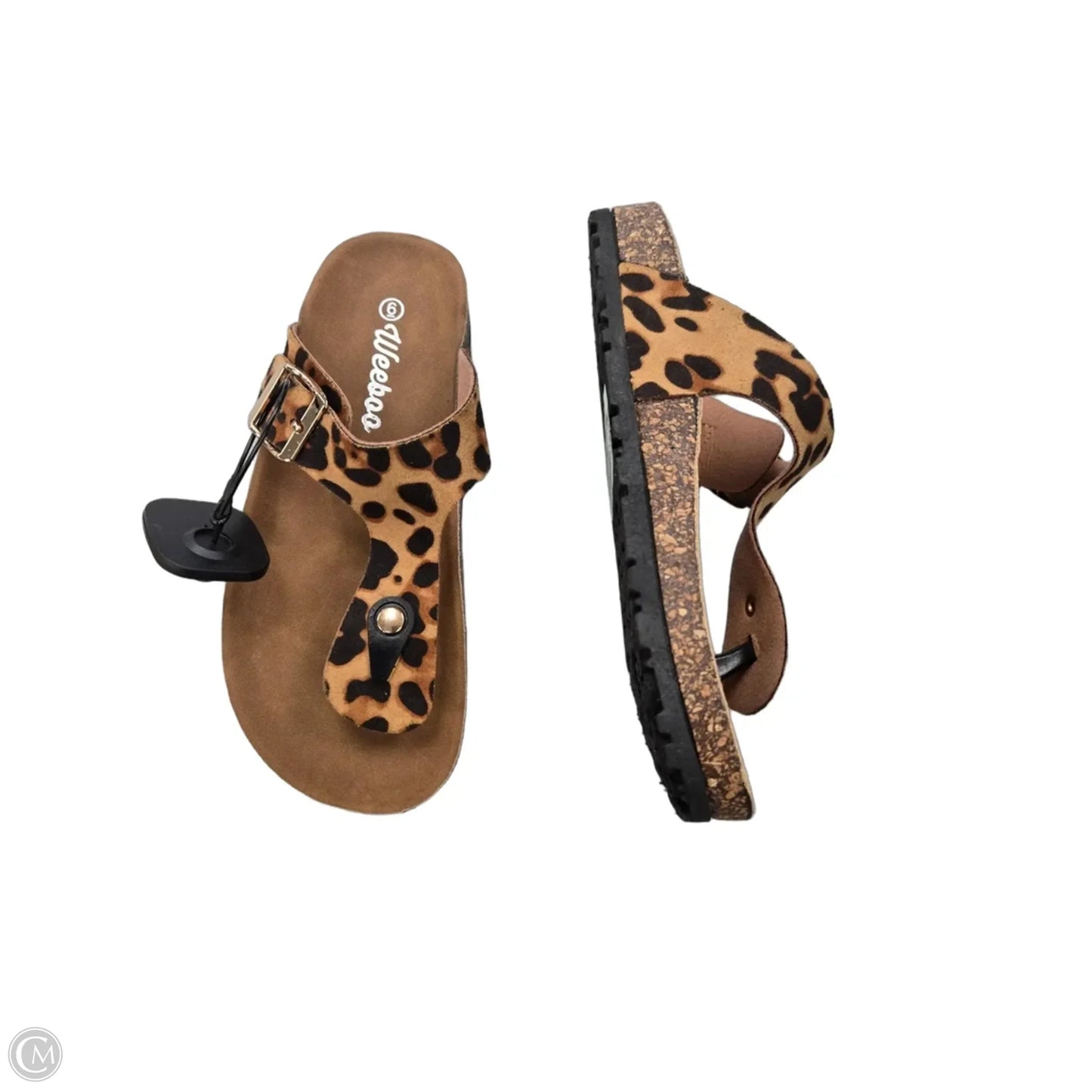 Sandals Flip Flops By Cme In Animal Print, Size: 6