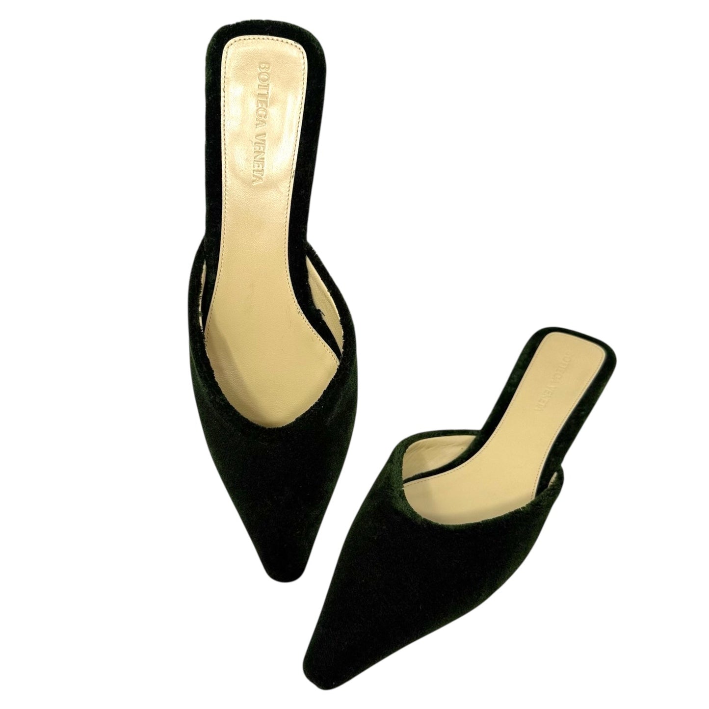 Carpet Point-Toe Ballerina Slippers Luxury Designer By Bottega Veneta In Bottle Green, Size: US 9/IT 39