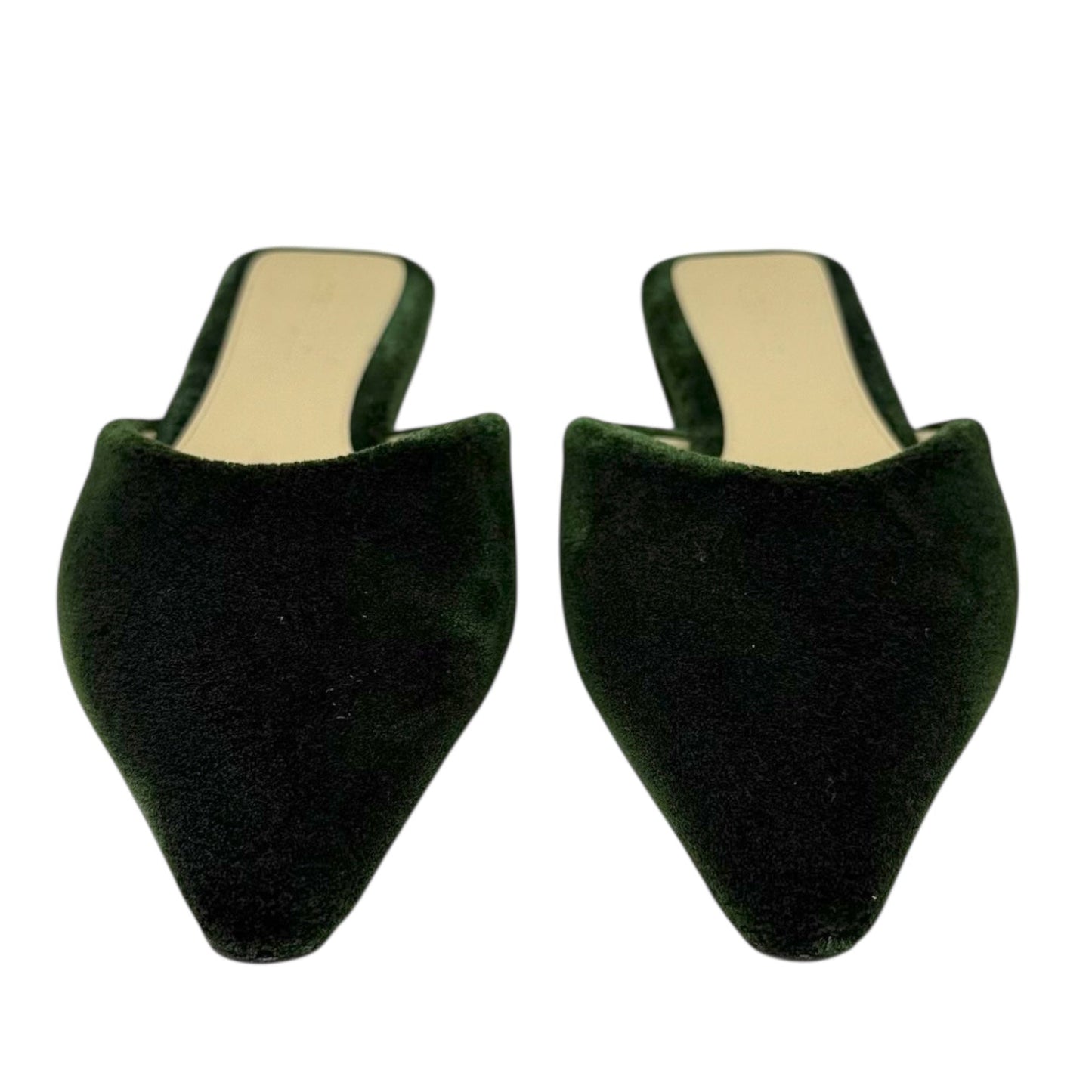Carpet Point-Toe Ballerina Slippers Luxury Designer By Bottega Veneta In Bottle Green, Size: US 9/IT 39