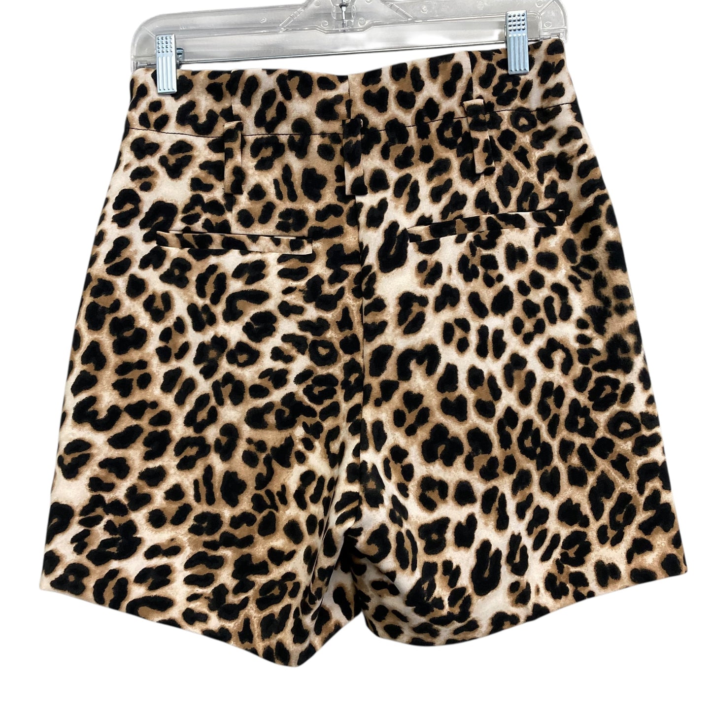 Shorts By New York And Co In Animal Print, Size:2