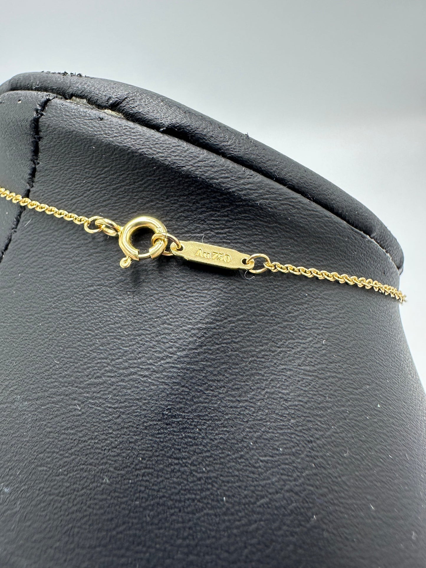 Tiffany & Company 18K Interlocking Circles Designer Luxury Necklace