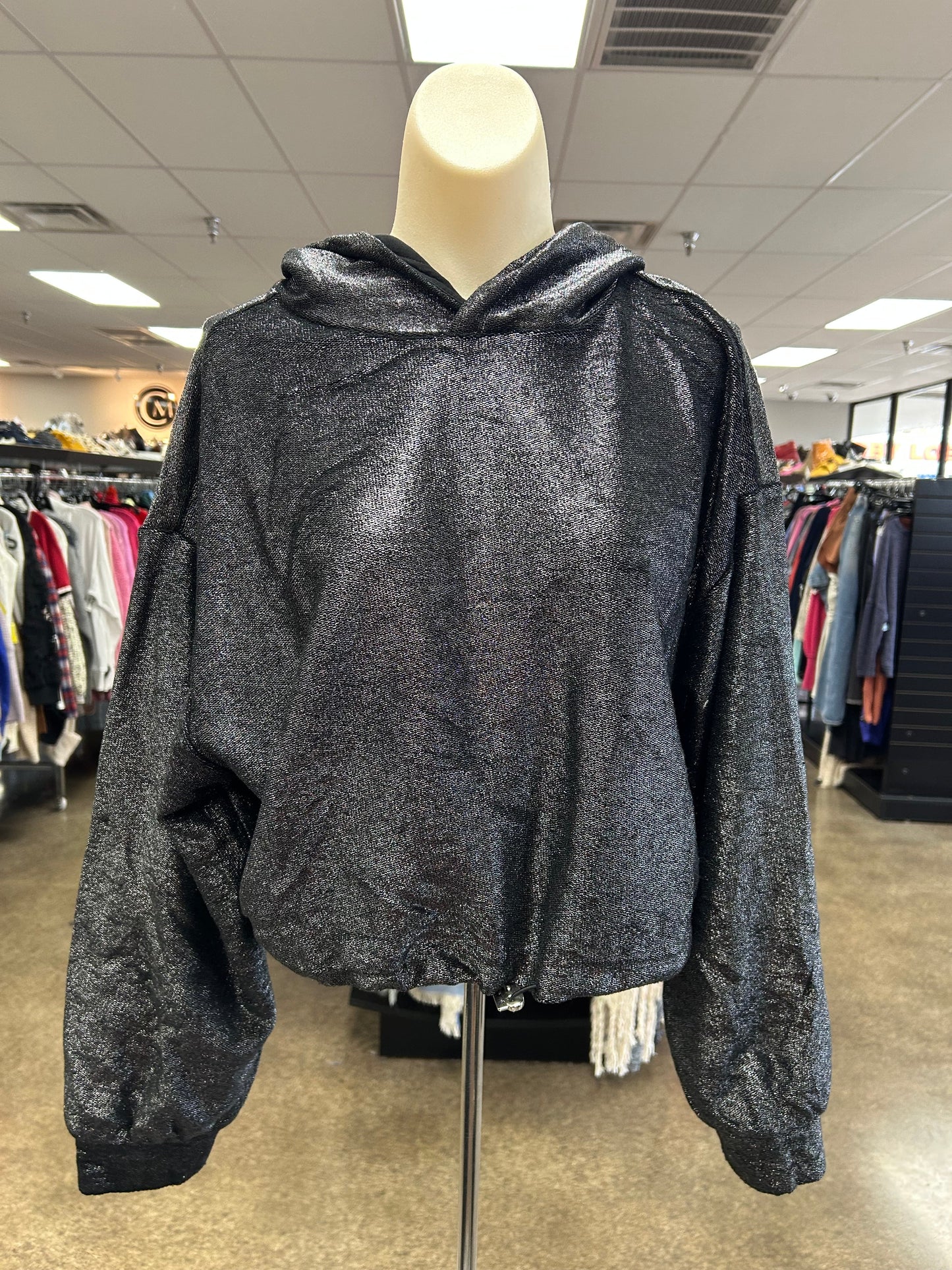 Sweatshirt Hoodie By Pilcro In Silver, Size:M