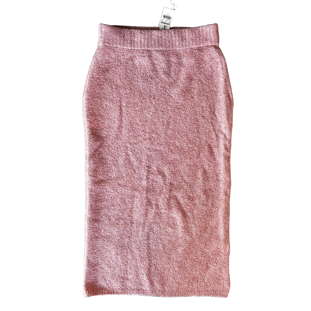 Skirt Maxi By Express Size: S