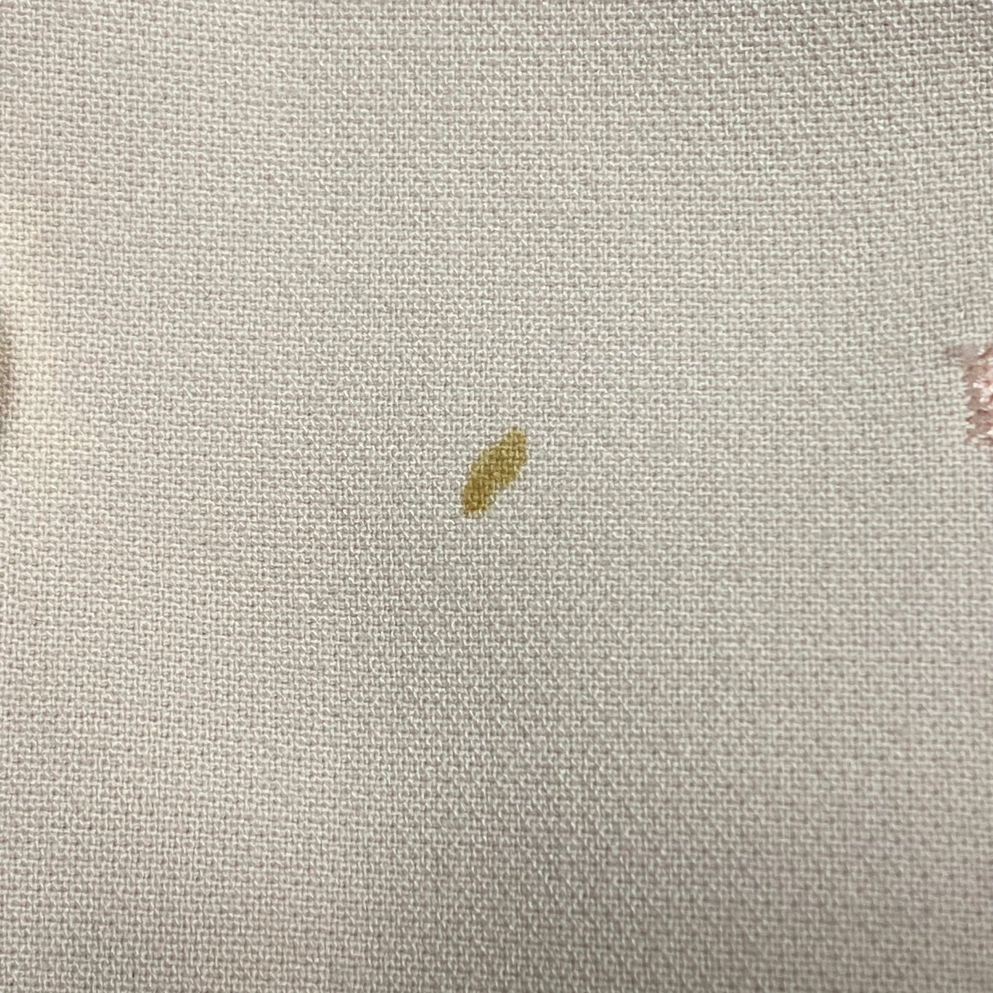 Blazer By White House Black Market In Pink, Size:M