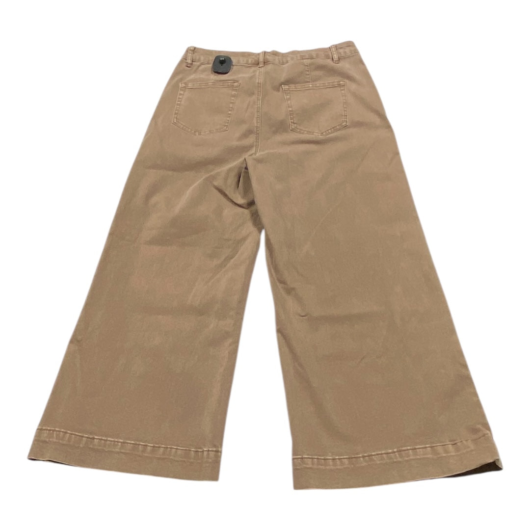 Jeans Wide Leg By Charlie B In Brown, Size:12