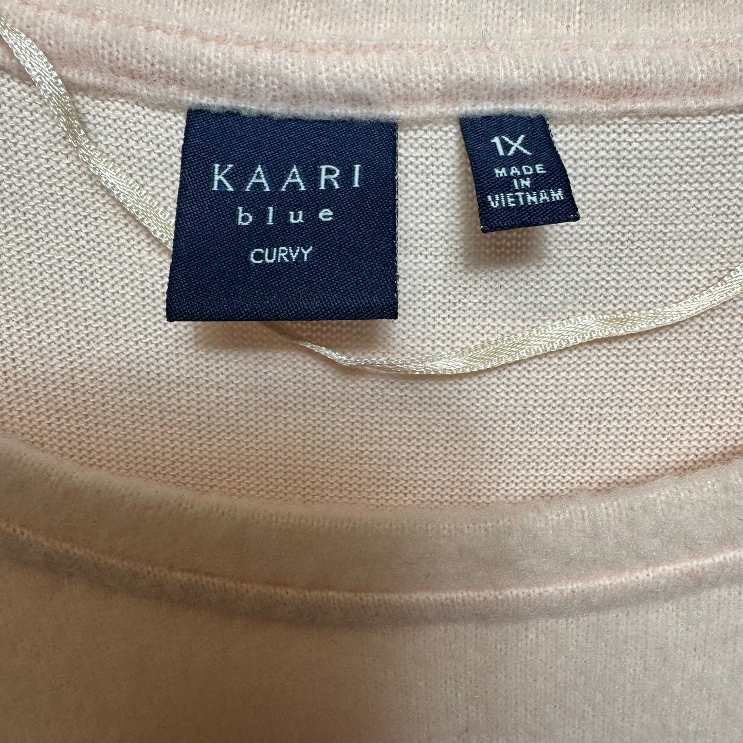 Sweater By Kaari Blue In Pink, Size: 1x