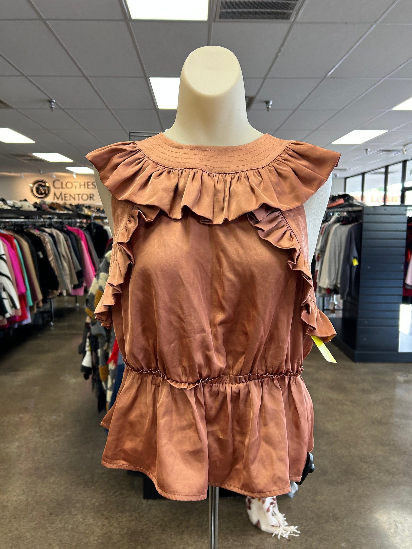 Blouse Sleeveless By Clothes Mentor In Tan, Size:S