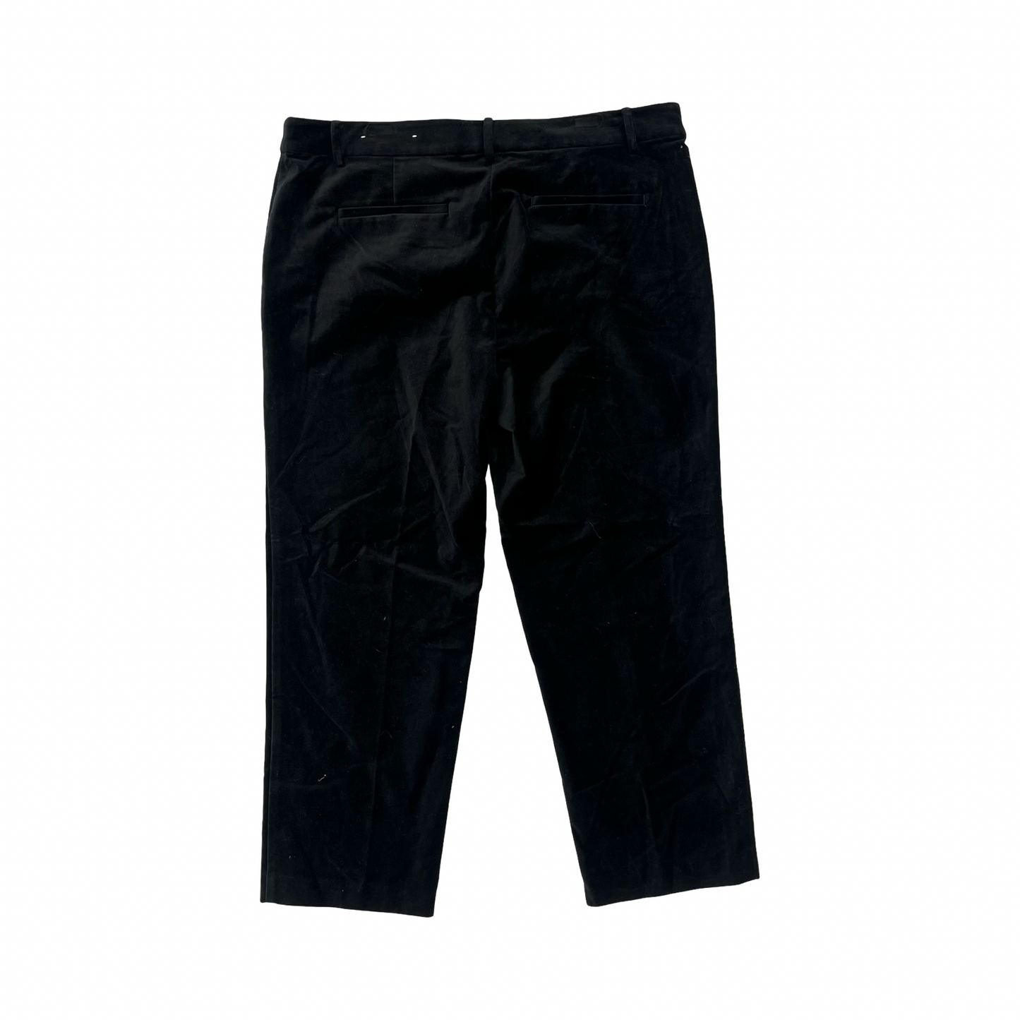 Pants Other By Loft In Black, Size:16