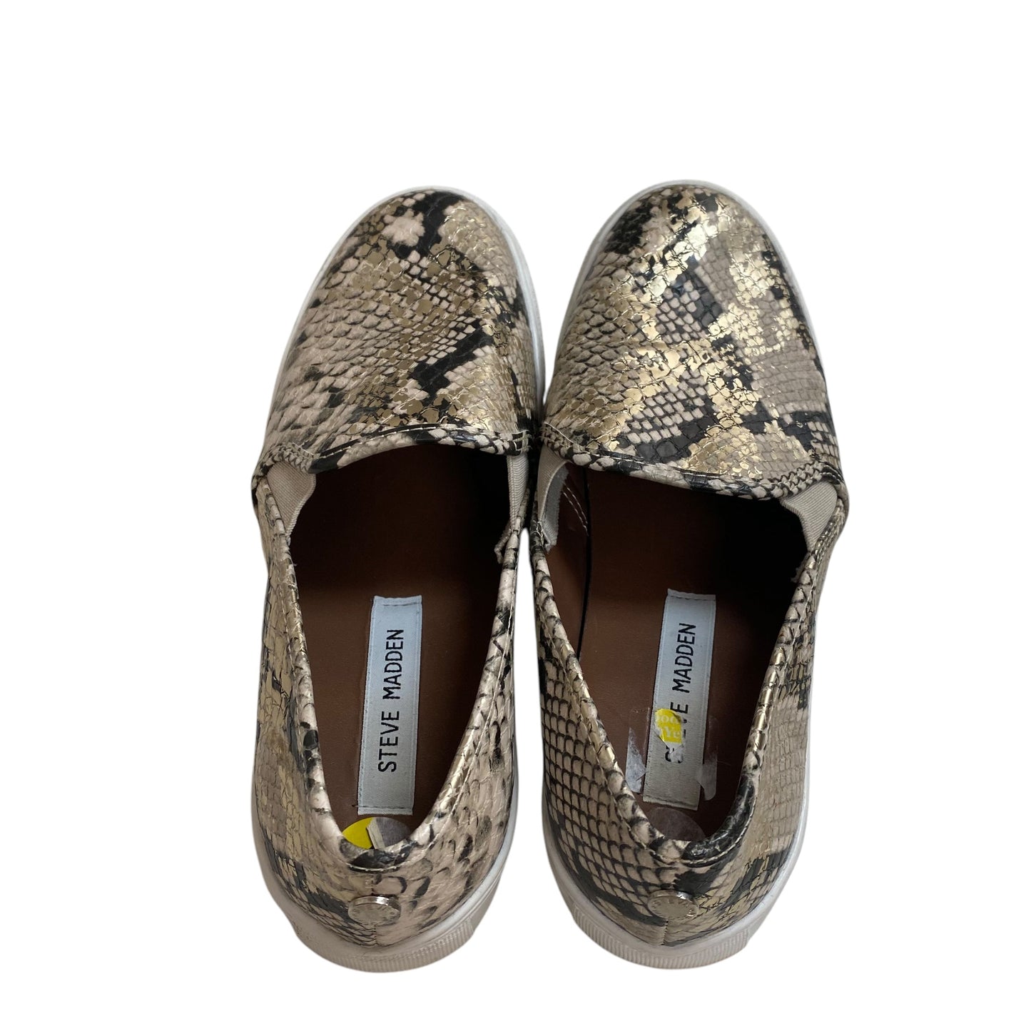 Shoes Flats By Steve Madden In Snakeskin Print, Size:9