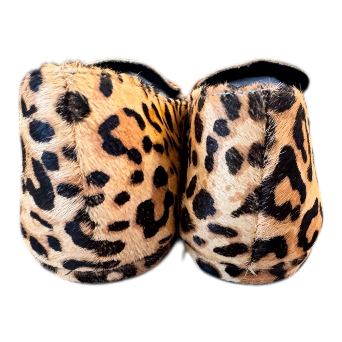 Shoes Flats By Steve Madden In Animal Print, Size:8.5