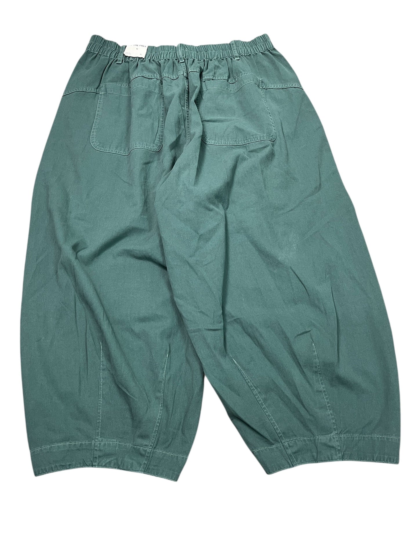 Pants Cargo & Utility By We The Free In Green, Size:Xl