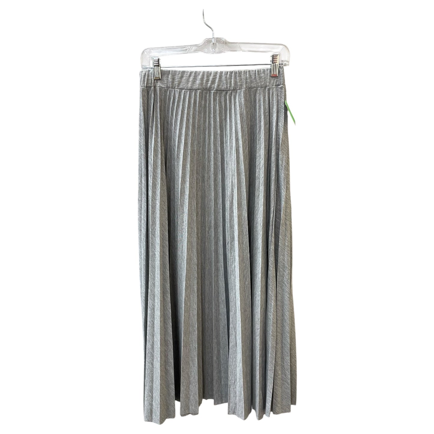 Skirt Maxi By Truth In Grey, Size:Xs