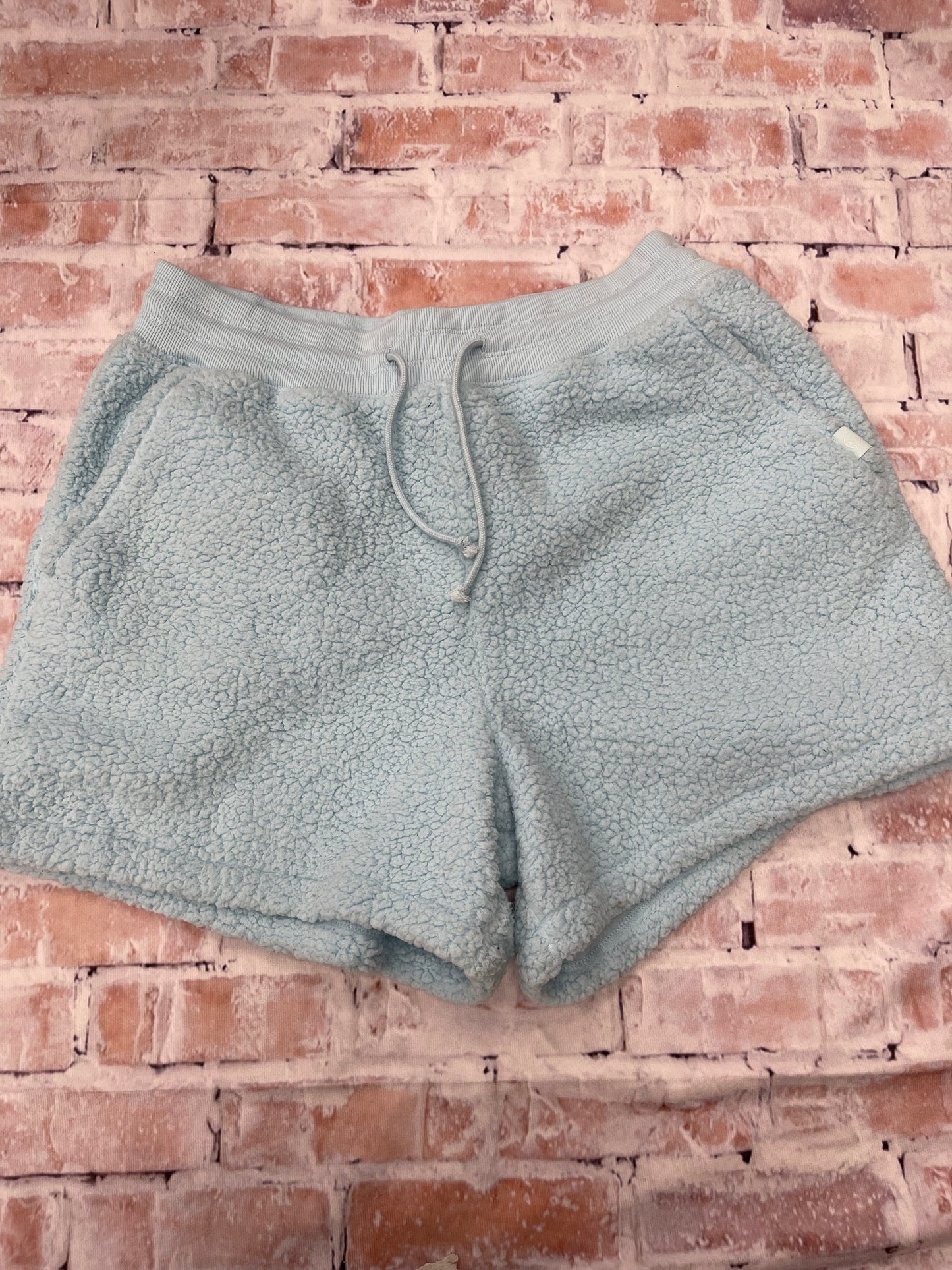Shorts By Gilly Hicks In Blue, Size: L