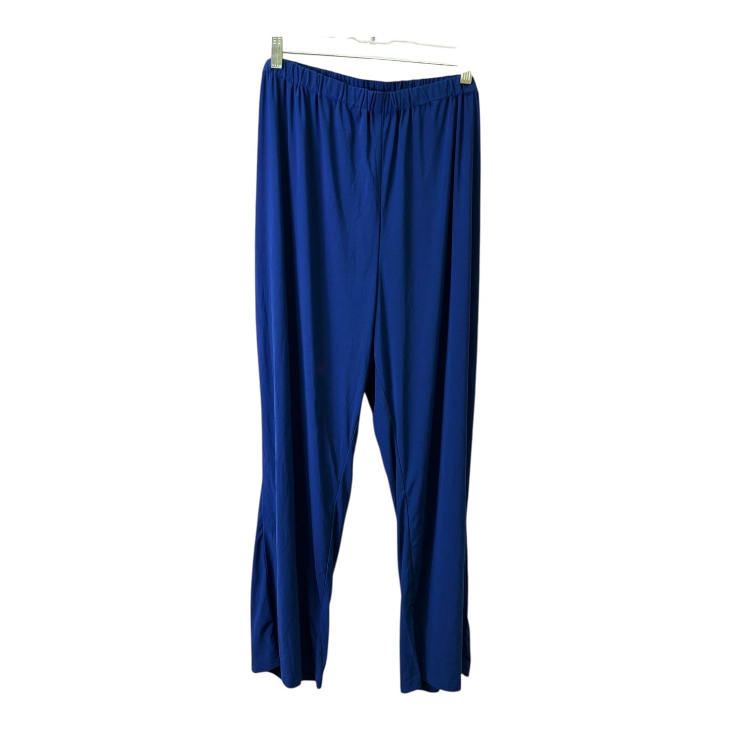 Pants Set 2Pc By Roamans In Blue, Size:24