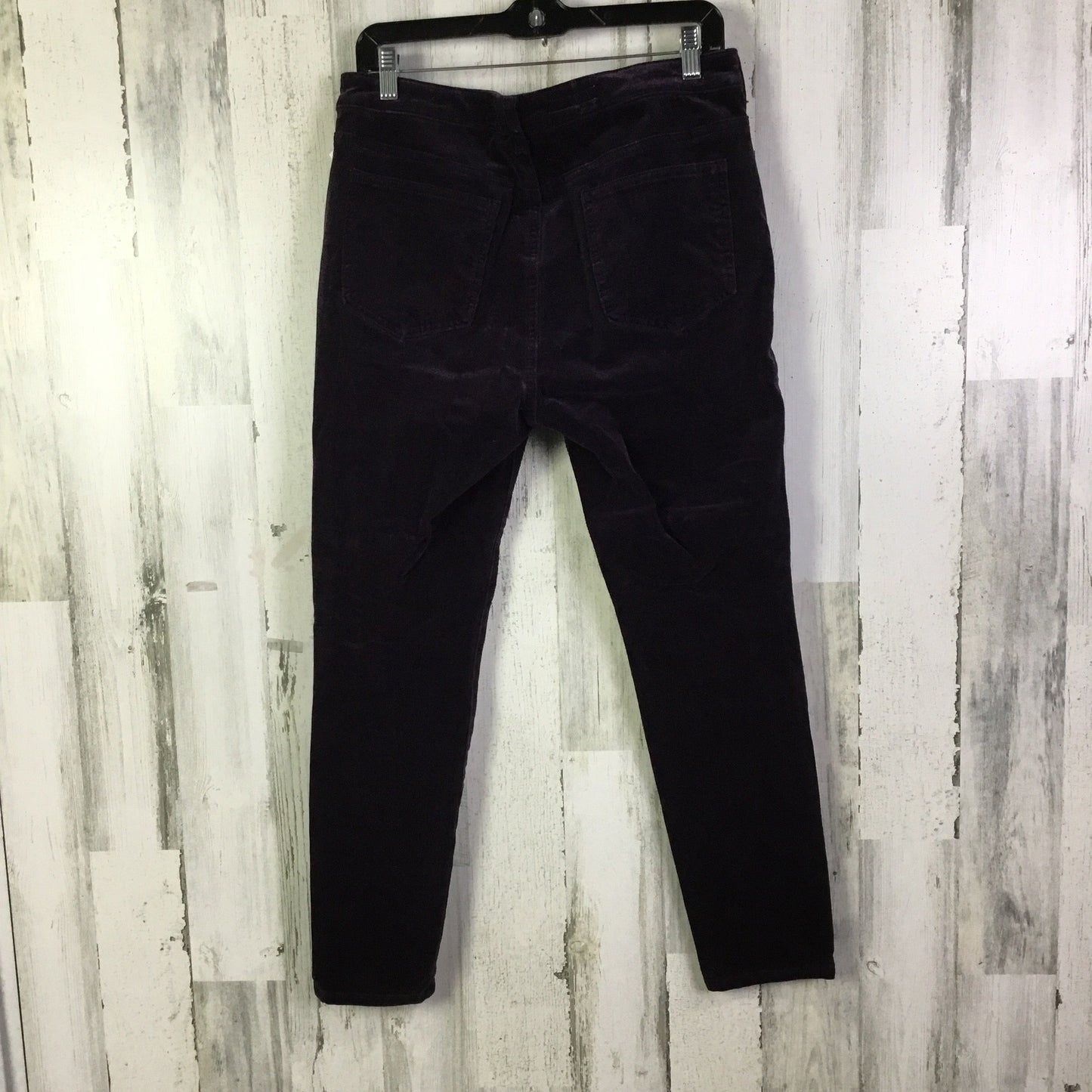 Pants Corduroy By Pilcro In Purple, Size:12