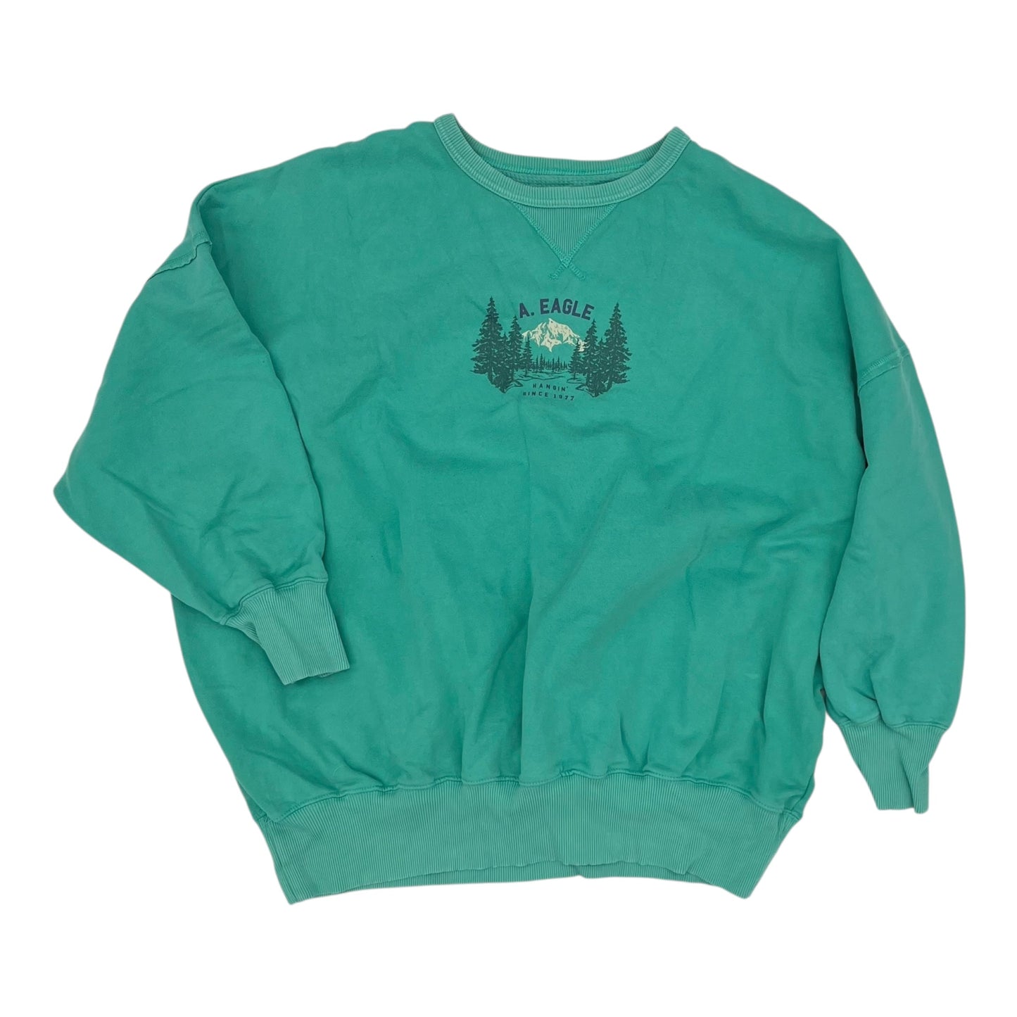 Sweatshirt Crewneck By American Eagle In Green, Size:Xxl