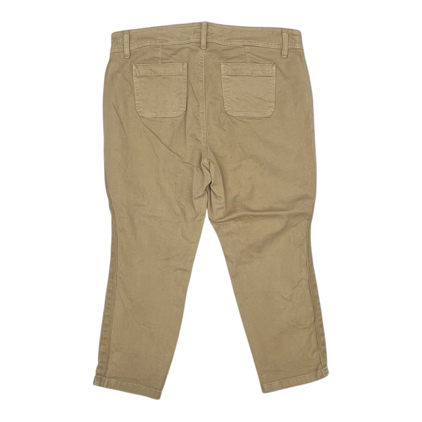 Pants Other By Torrid In Brown, Size:16