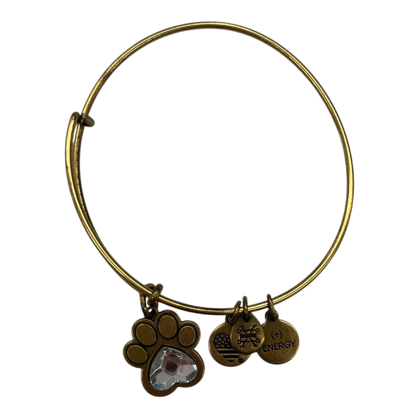 BRACELET BANGLE by ALEX AND ANI In GOLD