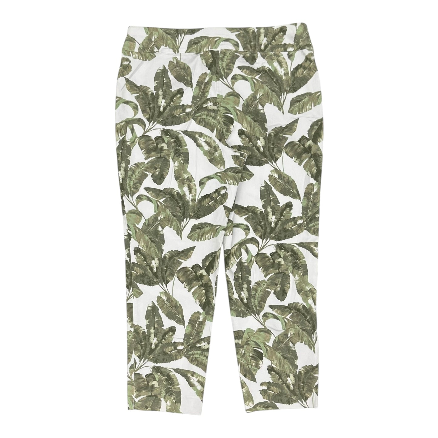 Pants Chinos & Khakis By Chicos In Green & White, Size:L