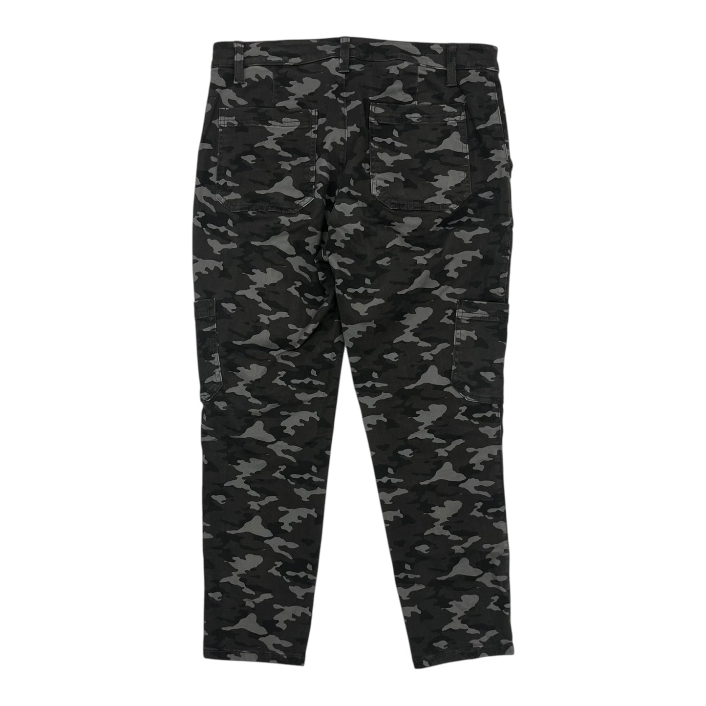 Pants Cargo & Utility By Banana Republic In Camouflage Print, Size:10P