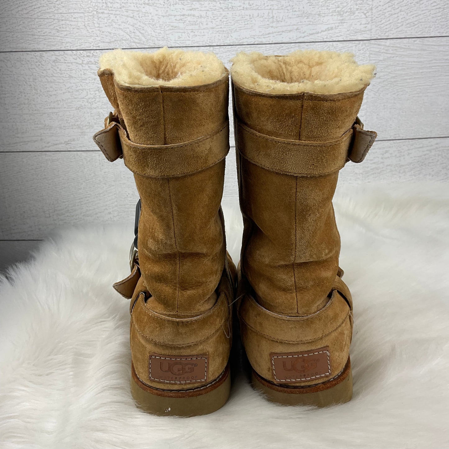 Boots Designer By Ugg Size: 6